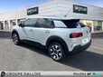 CITROEN C4 Cactus PureTech 110ch S&S Shine EAT6